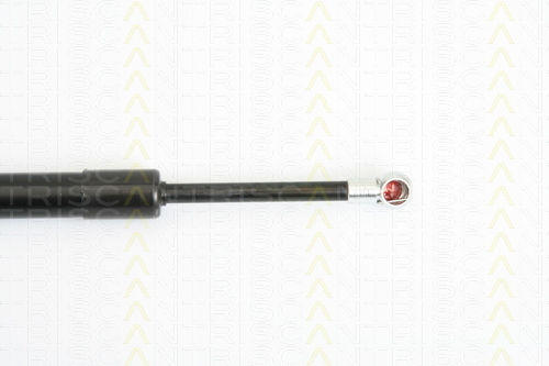 Triscan 8710 29274 Trunk Shock Absorber