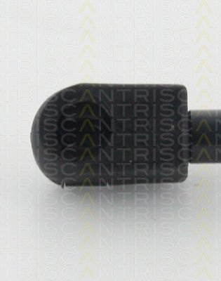 Triscan Trunk Shock Absorber 8710 29296