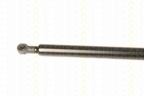 Triscan 8710 80206 Trunk Shock Absorber