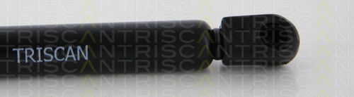Triscan Амортисьор За Капак 8710 29135