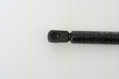 Triscan Hood Shock Absorber 8710 29122