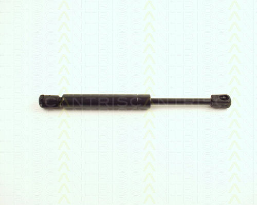 Triscan Hood Shock Absorber 8710 24102