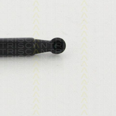 Triscan 8710 292022 Trunk Shock Absorber