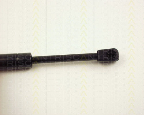 Triscan Hood Shock Absorber 8710 24102