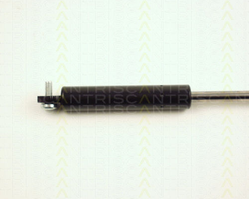 Triscan 8710 25212 Kofferraum-Schock