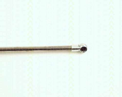 Triscan 8710 16217 Trunk Shock Absorber