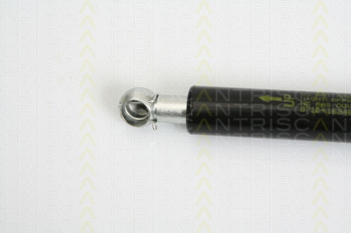 Triscan 8710 16248 Амортисьор За Багажник