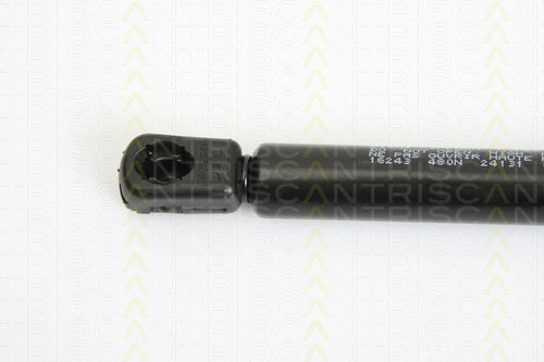Triscan 8710 16243 Trunk Shock Absorber