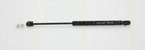 Triscan 8710 67203 Trunk Shock Absorber