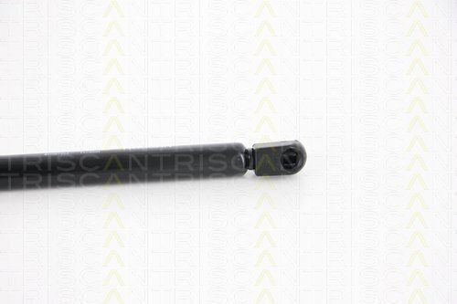 Triscan 8710 67203 Trunk Shock Absorber