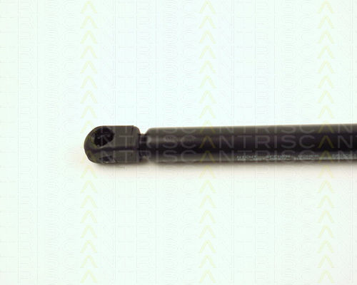 Triscan 8710 16236 Амортисьор За Багажник
