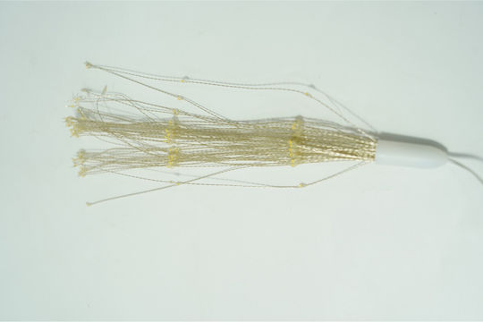 150 Luminite LED Alb Cald Tip Focuri De Artificii