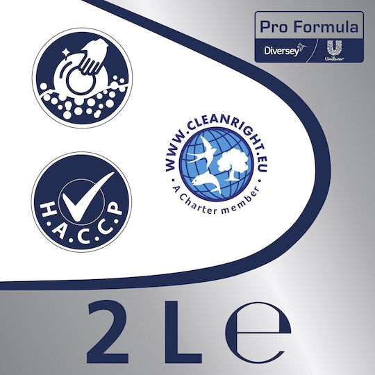 Cif Professional Zitronen Pack – Universelles Reinigungsmittel Handspülmittel Zitronenduft 6x2 L
