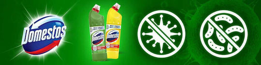 Unilever Toilettenreiniger Gel mit Zitronenduft 750ml