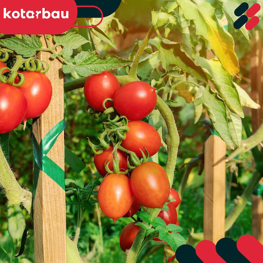 Kotarbau Holz-Pflanzenspieße Tomaten Gemüse Gartenstützen Bäume Sträucher 100 cm Set 25 Stück