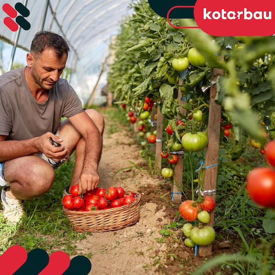 Kotarbau Holzpflanzenspieße Tomaten Gemüse Gartenstützen Bäume Sträucher 60 cm Set 10 Stück
