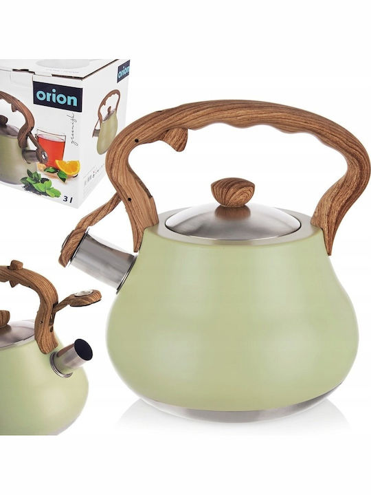 Orion Stainless Steel Gray Boiler 3000ml