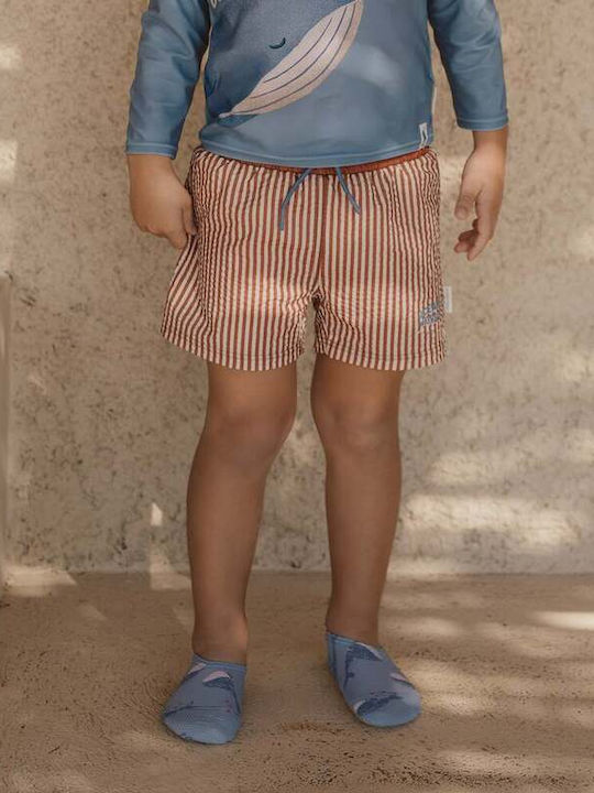 Little Dutch