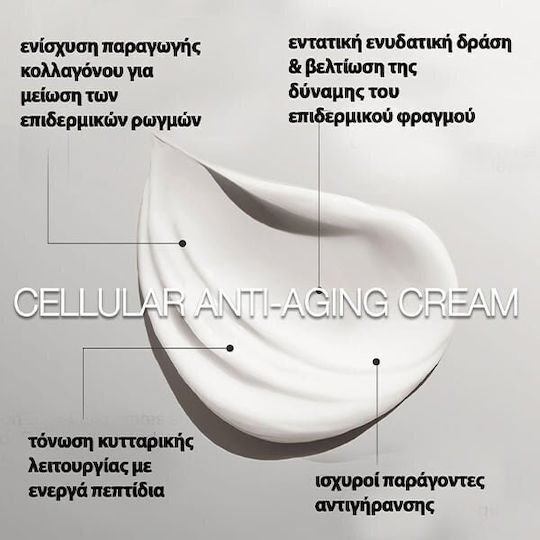 Skincode Cellural Anti-aging Duo Σετ Περιποίησης για Αντιγήρανση 2τμχ