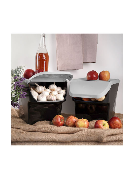 Vilde Set 2 Bucăți Cutii Utilizare Generală Cu Capac Plastic Gri 27.5x26x34cm