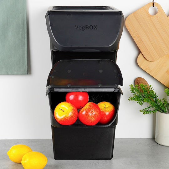 Vilde Set 2 Bucăți Casete Utilizare Generală Cu Capac Plastic Negru 2x26x34cm 2 Bucăți