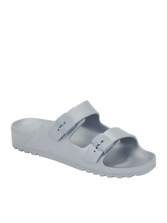 Scholl