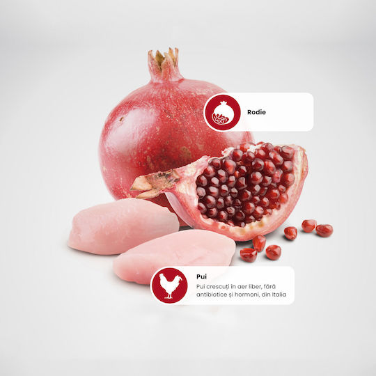 Farmina Hrană Umedă pentru Căței Dietetică cu Pui Rodie Pește și Afine 800g