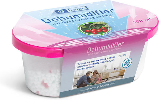 Alista Home Feuchtigkeitsabsorber GLB_57405F