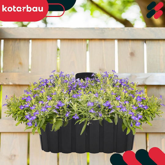 Wall Hanging Flower Pot Wall Rustic Balcony Anthracite 28cm 6 Pcs Wall Hanging Flower Pot Wall Rustic Balcony Anthracite 28cm 6 Pcs