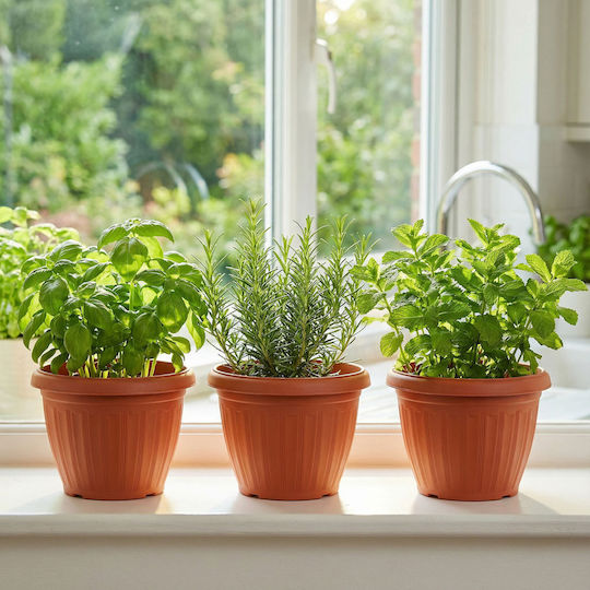 Ghiveci De Flori Din Plastic Culoare Teracotă Ø20 Cm Pentru Plante De Interior Și Exterior Ghiveci De Flori Din Plastic Culoare Teracotă Ø20 Cm Pentru Plante De Interior Și Exterior