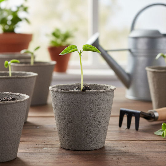 Ghiveci De Răsad Biodegradabil Ø8 Cm Hârtie Rotund Set 10 Bucăți Pentru Plantarea Plantelor Ghiveci De Răsad Biodegradabil Ø8 Cm Hârtie Rotund Set 10 Bucăți Pentru Plantarea Plantelor