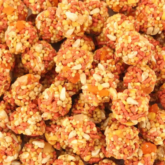 Lafeber Tropisches Frucht Nutri-Berries Für Papageien 284g