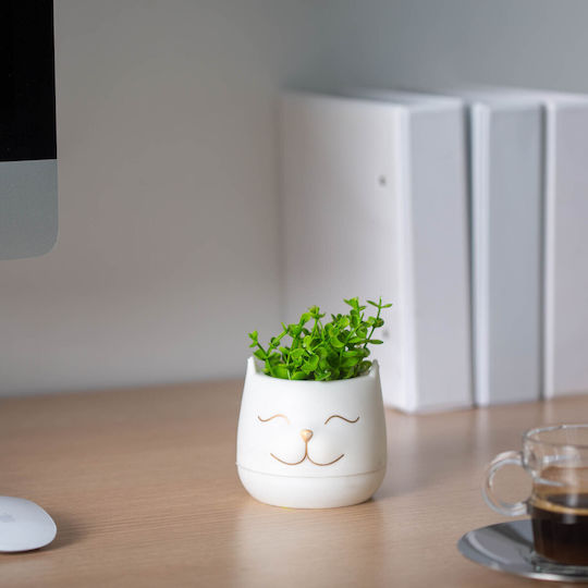 Dekorative Künstliche Pflanze In Topfpflanze Katzenkopf 14 Cm 3 Modelle Zuhause Büro Dekor