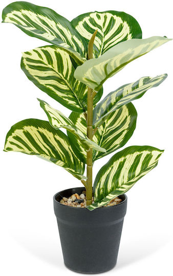 Artificial Zebra Leaf Plant Decorative 34 Cm In Pot Realistic Design Home Office Decor