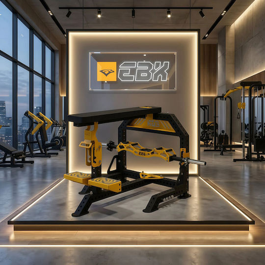 eBoxing Prone Row Pro The Lat Forge Multi Gym Without Weights