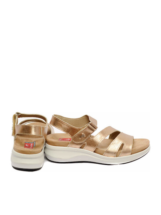 Anatomic Summer Women's Gold Platforms