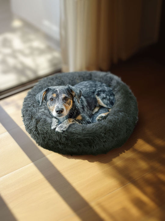 Hundebett Mercaton Grau Hundebett Mercaton Grau