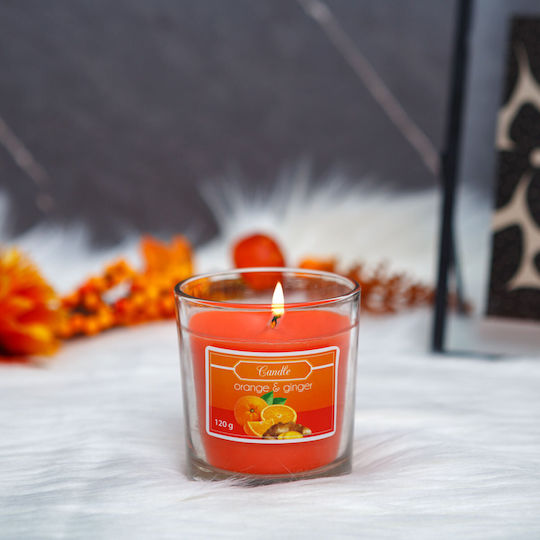 Alista Home Αρωματικό σε Βάζο Πορτοκάλι Alista Home Αρωματικό σε Βάζο Πορτοκάλι