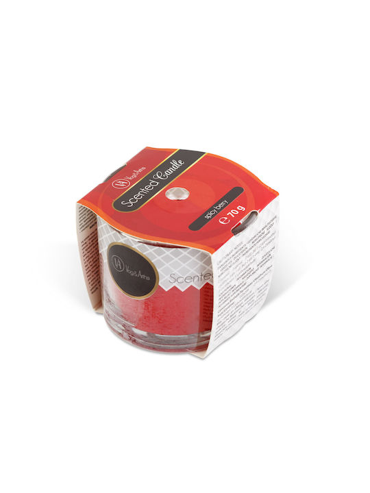 Alista Home Lumânare Aromatică în Borcan Violet 70gr