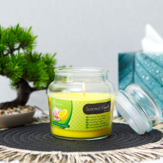 Alista Home Αρωματικό σε Βάζο Λεμόνι Alista Home Αρωματικό σε Βάζο Λεμόνι