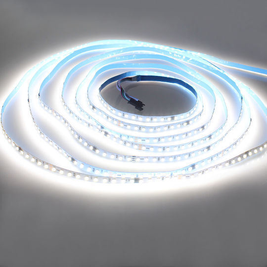 Spv T LED Strip 24V Cold White Light 5m