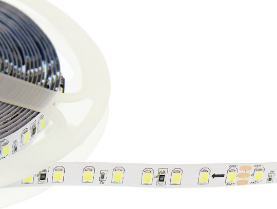 Spv T LED Strip 24V Cold White Light 5m
