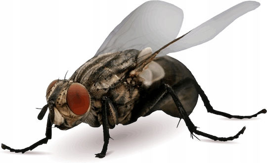 Bros Repelent De Insecte Spray Pentru Muște Țânțari Viespi 250ml