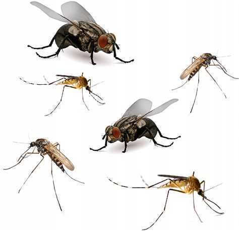 Bros Repelent De Insecte Spray Pentru Muște Țânțari Viespi 250ml