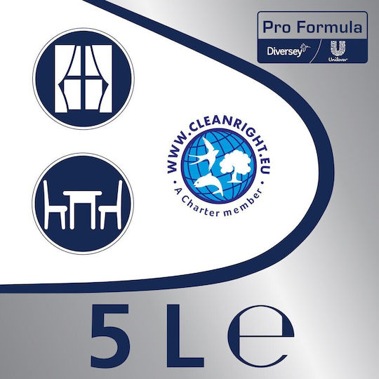 Alista Home Detergent Lichid Profesional pentru Geamuri cu Acțiune Dezinfectantă 5l