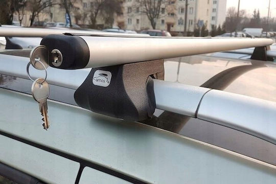 Autodachträger Peugeot Partner Mk III Van 5d Jahr 2019
