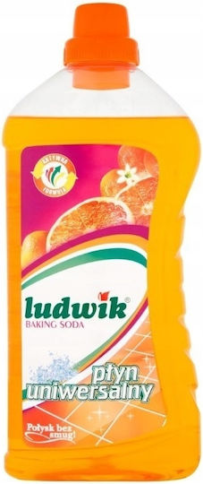 Ludwik Καθαριστικό Υγρό Πατώματος 1lt