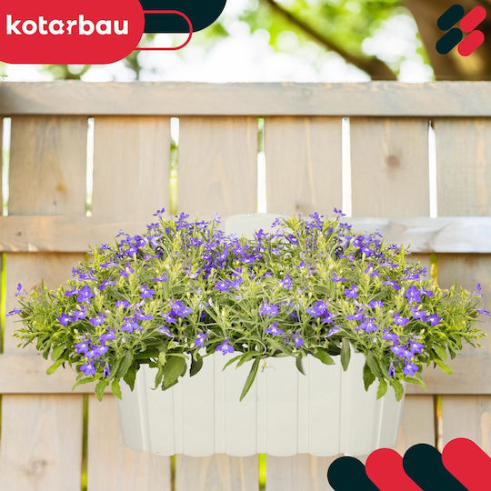 Kotarbau Σετ 4 Γλάστρες Πλαστικές Rustic White