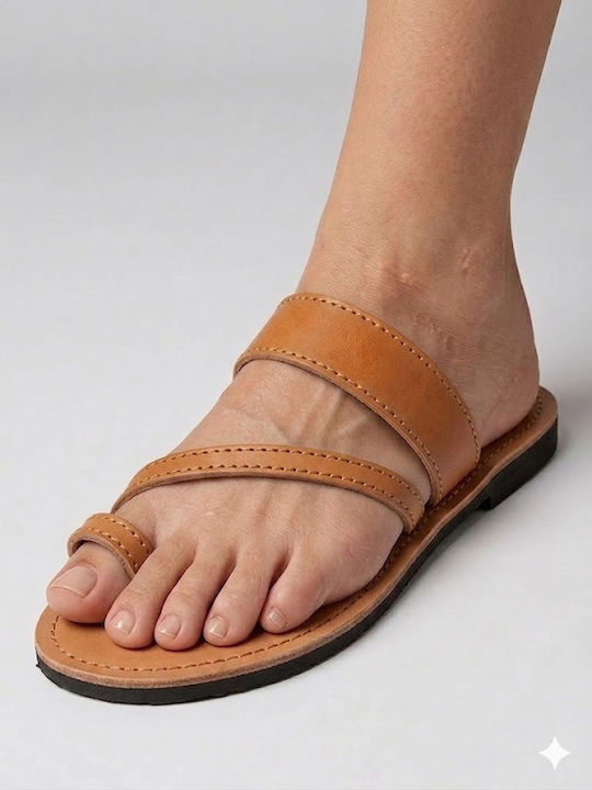 Gk Shoes