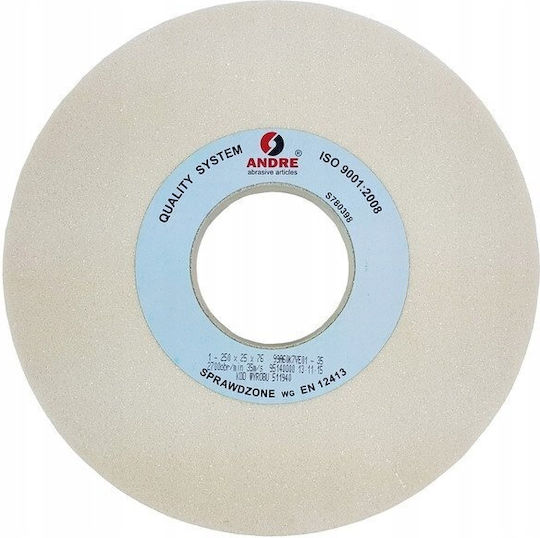 ANDRE abrasive articles Δίσκος Λείανσης 250mm